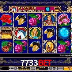 7733bet Rio de Janeiro - Bonus Terms